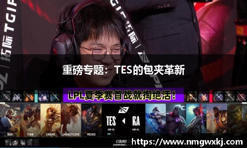 重磅专题：TES的包夹革新