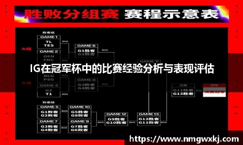 IG在冠军杯中的比赛经验分析与表现评估