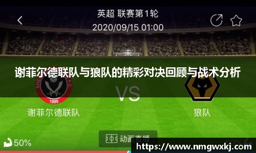 谢菲尔德联队与狼队的精彩对决回顾与战术分析